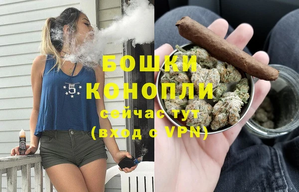 прущие крисы Мегион