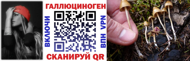 где купить наркоту  Заозёрск  Псилоцибиновые грибы MAGIC MUSHROOMS 
